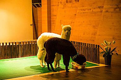 《死亡搁浅》全平台累计玩家突破2000万